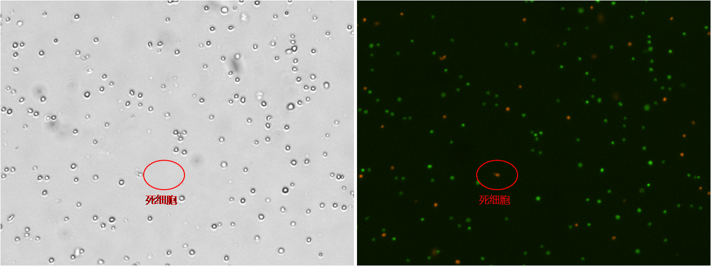 BM COMBINED1.png BM COMBINED1.png